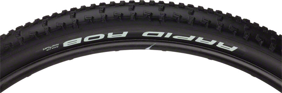 Schwalbe RapidRob Tire - 29 x 2.10 Clincher Wire BLK Performance Line K-Guard