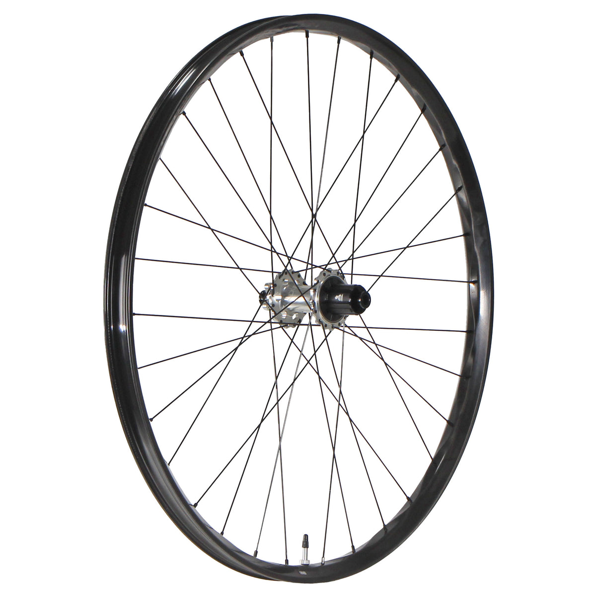 We Are One Triad 29" Rear Wheel 12x148 HG Silver/Black