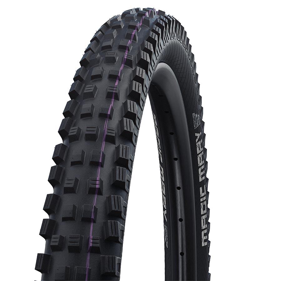 Schwalbe Magic Mary Tire - 29 x 2.50 Tubeless Folding BLK Evolution Line Gravity Pro Addix Ultra Soft Radial-Goodwynn'sGoodwynn's