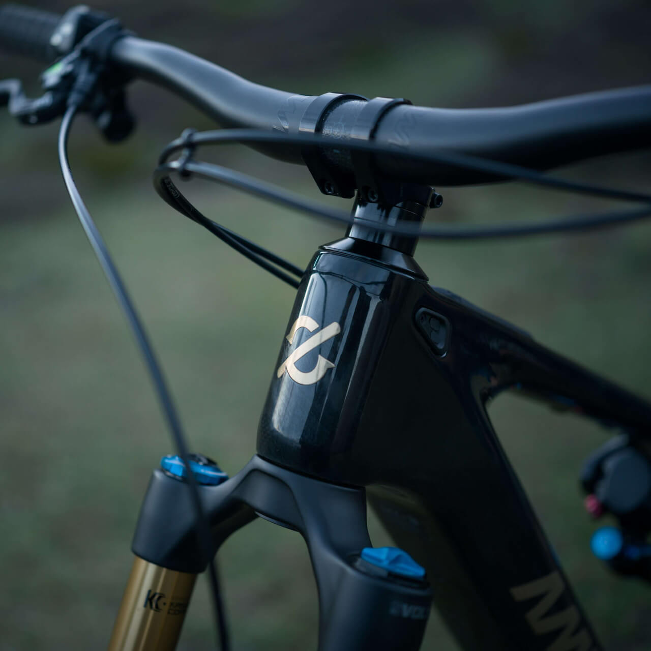 Amflow PL Carbon-Goodwynn'sGoodwynn's