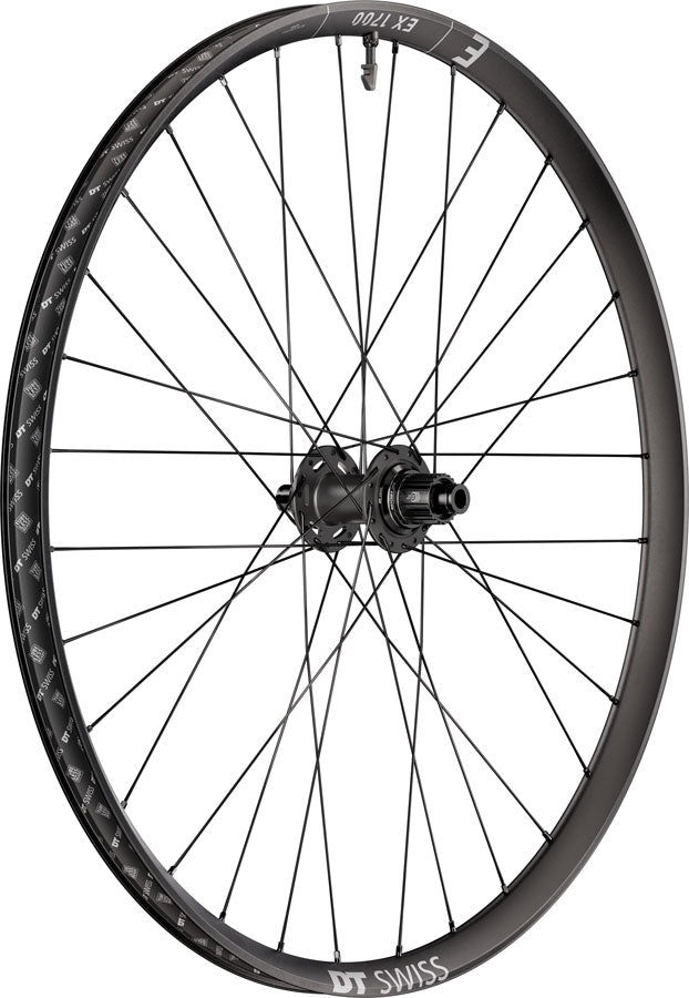 DT Swiss EX 1700 Classic 30 Rear Wheel - 29" 12 x 148mm Center-Lock Micro Spline DEG 72 DF BLK-Goodwynn'sGoodwynn's