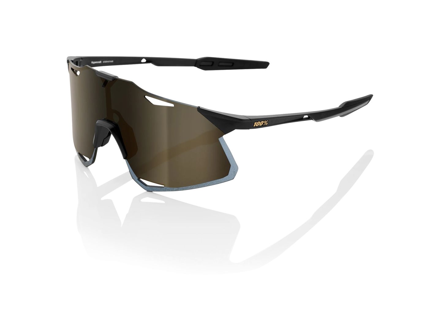 Eyewear 100% Hypercraft Sunglasses Black/Gold-Goodwynn'sGoodwynn's