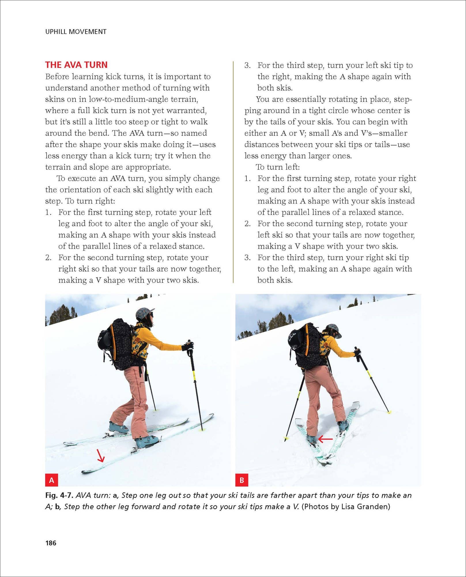 Mountaineers Books - Backcountry Skiing, 2nd Edition-Goodwynn'sGoodwynn's
