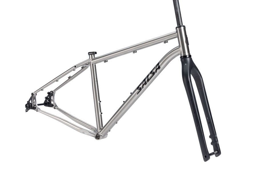 Salsa Fargo Ti Frameset - 29" Titanium Brushed Titanium Small-Goodwynn'sGoodwynn's