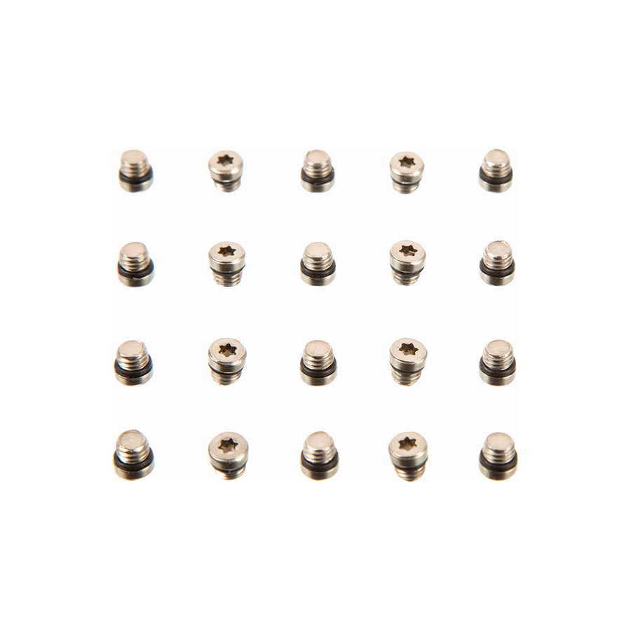 SRAM Lever Bleed Screw 20pcs-Goodwynn'sGoodwynn's
