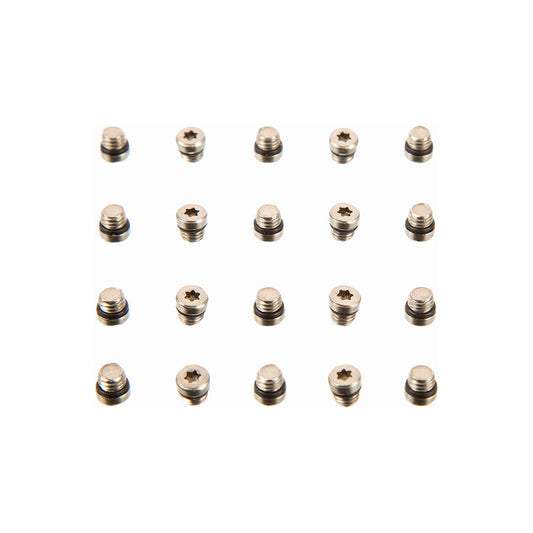 SRAM Lever Bleed Screw 20pcs-Goodwynn's