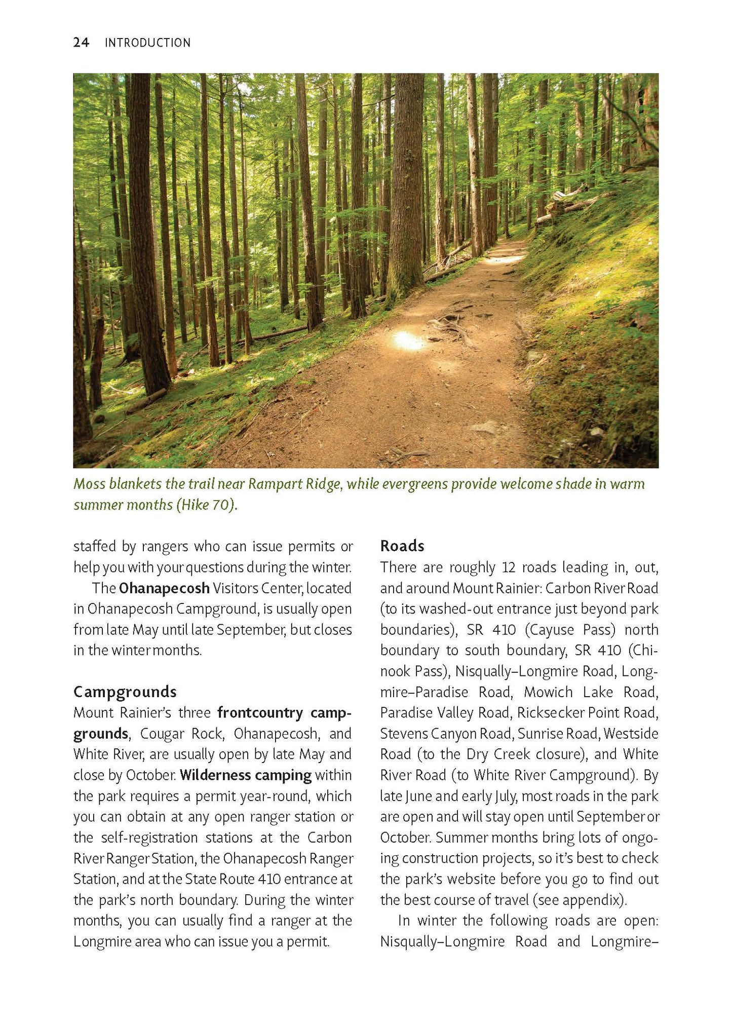 Mountaineers Books - Day Hiking: Mount Rainier, 2nd Edition