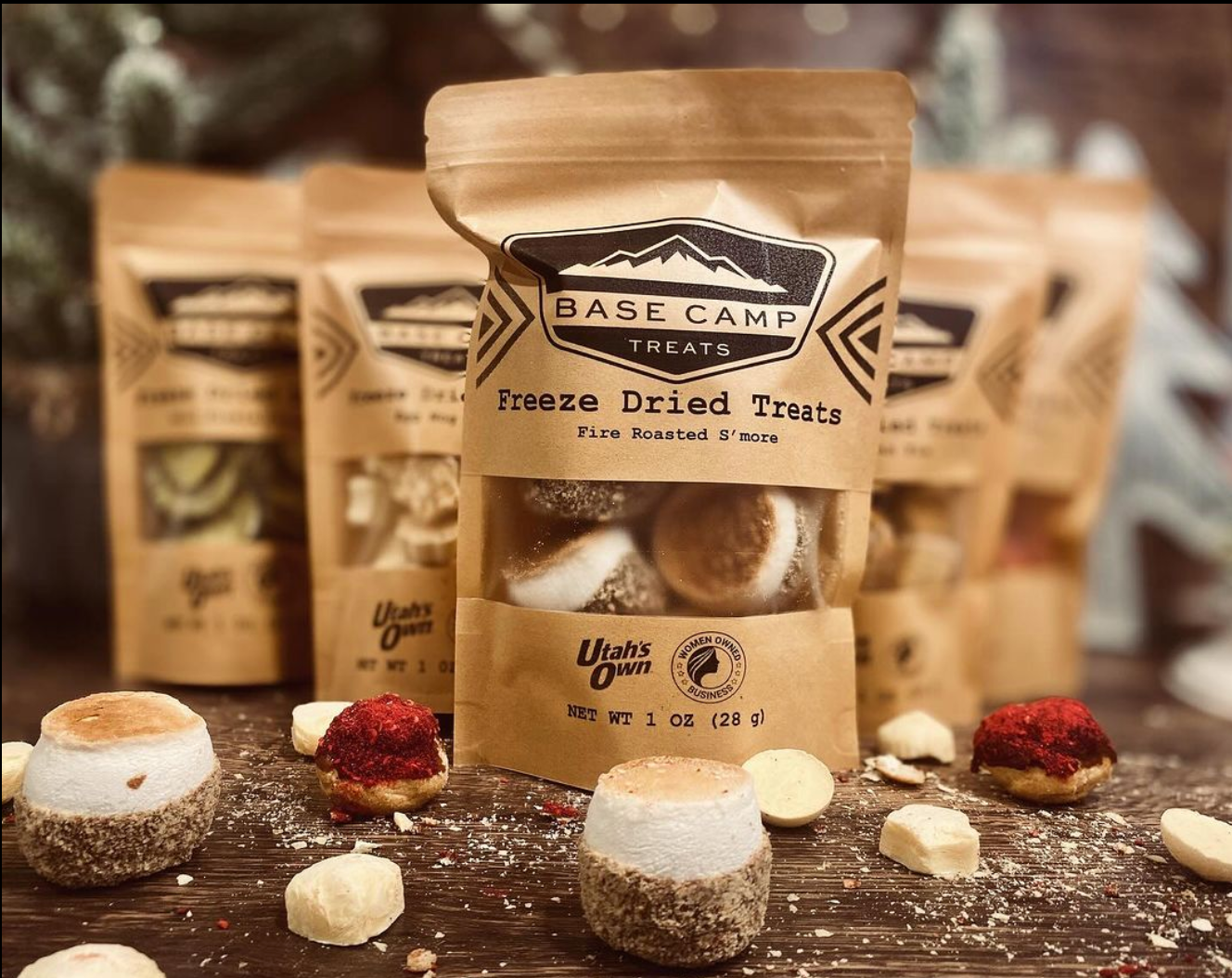 Base Camp Treats - Freeze Dried Fire Roasted S'more-Goodwynn'sGoodwynn's