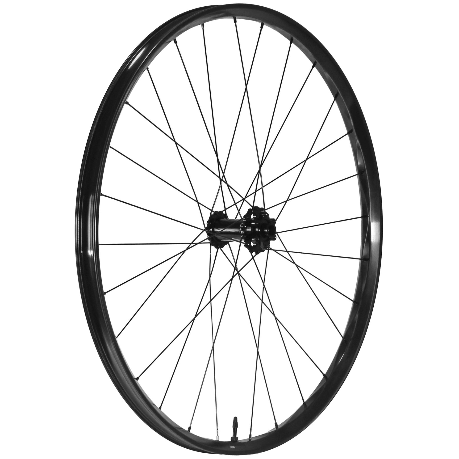 We Are One Triad 29" Front Wheel 15x110 Black-Goodwynn'sGoodwynn's