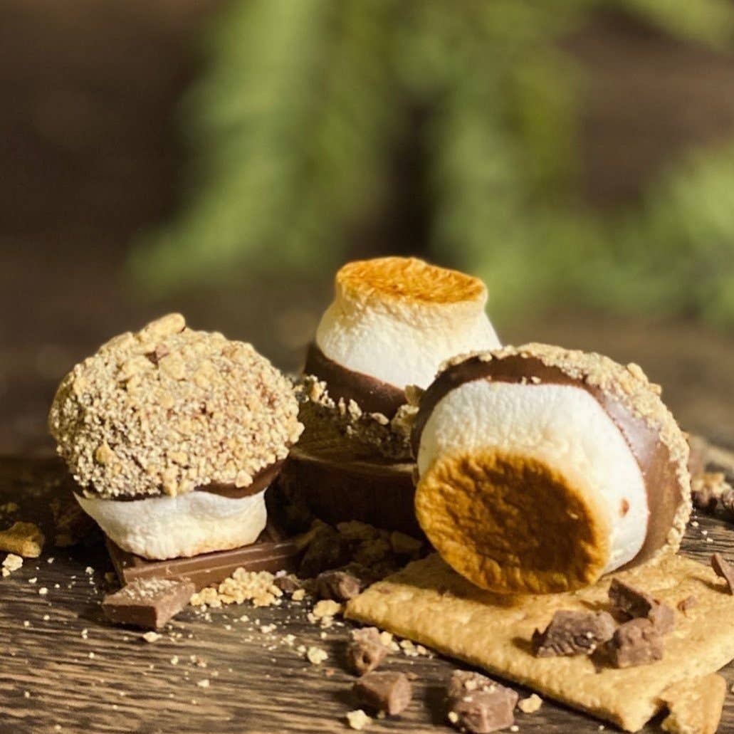 Base Camp Treats - Freeze Dried Fire Roasted S'more-Goodwynn'sGoodwynn's