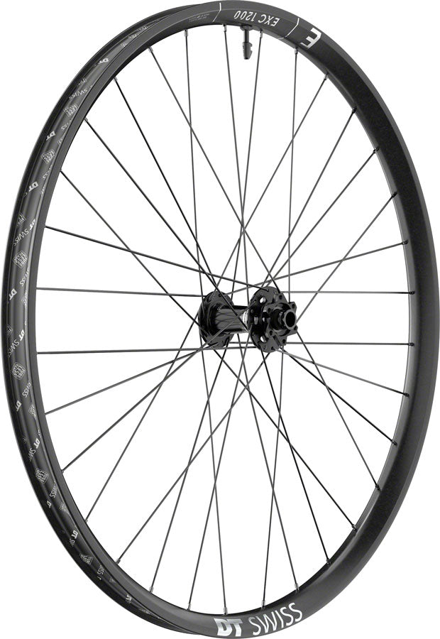 DT Swiss EXC 1200 Classic 30 Front Wheel - 29" 20 x 110mm DH Boost 6-Bolt BLK