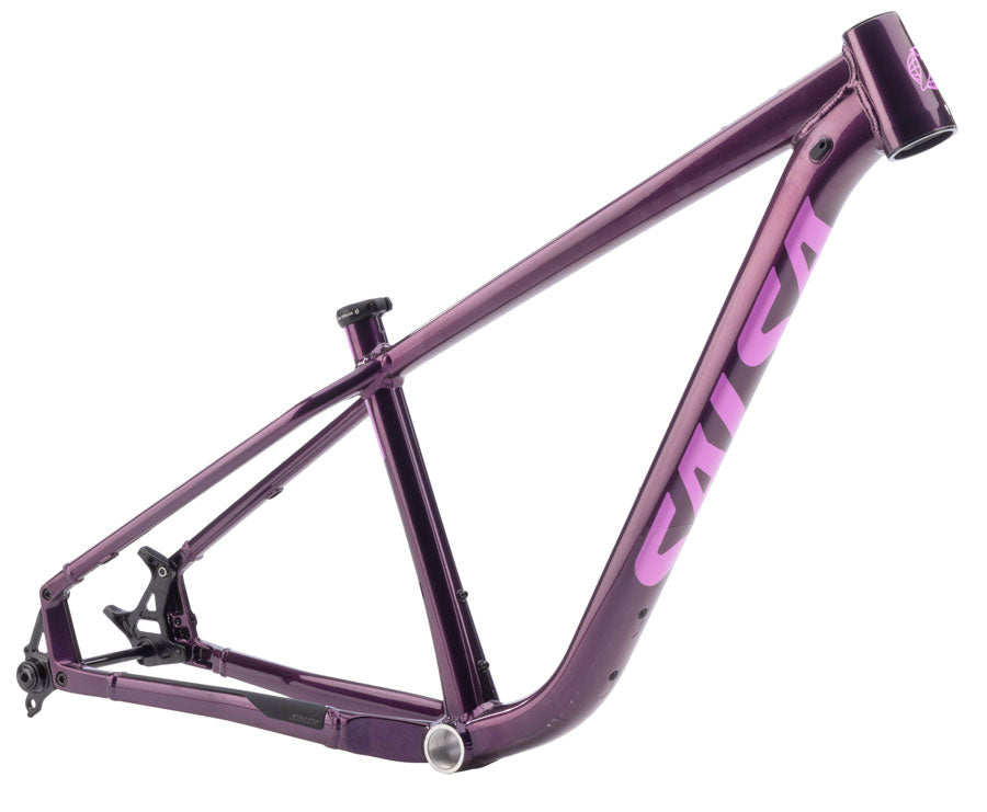 Salsa Timberjack Frame - 29"/27.5 Aluminum Deep Orchid Medium-Goodwynn'sGoodwynn's