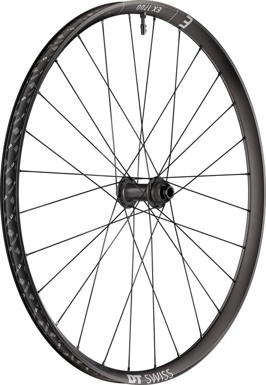 DT Swiss EX 1700 Classic 30 Front Wheel - 29" 15 x 110mm Center-Lock Black-Goodwynn's