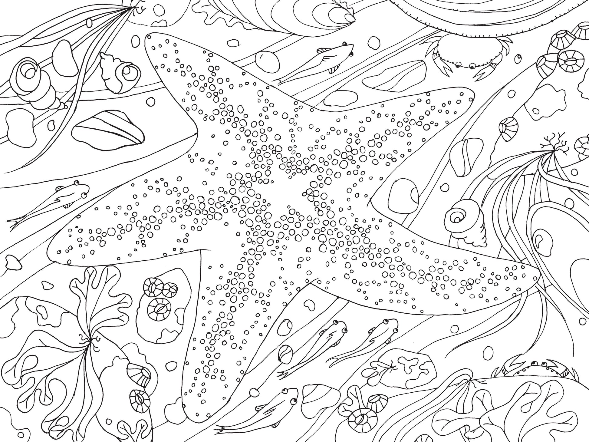 Mountaineers Books - Pacific Northwest Nature Coloring Book-Goodwynn'sGoodwynn's