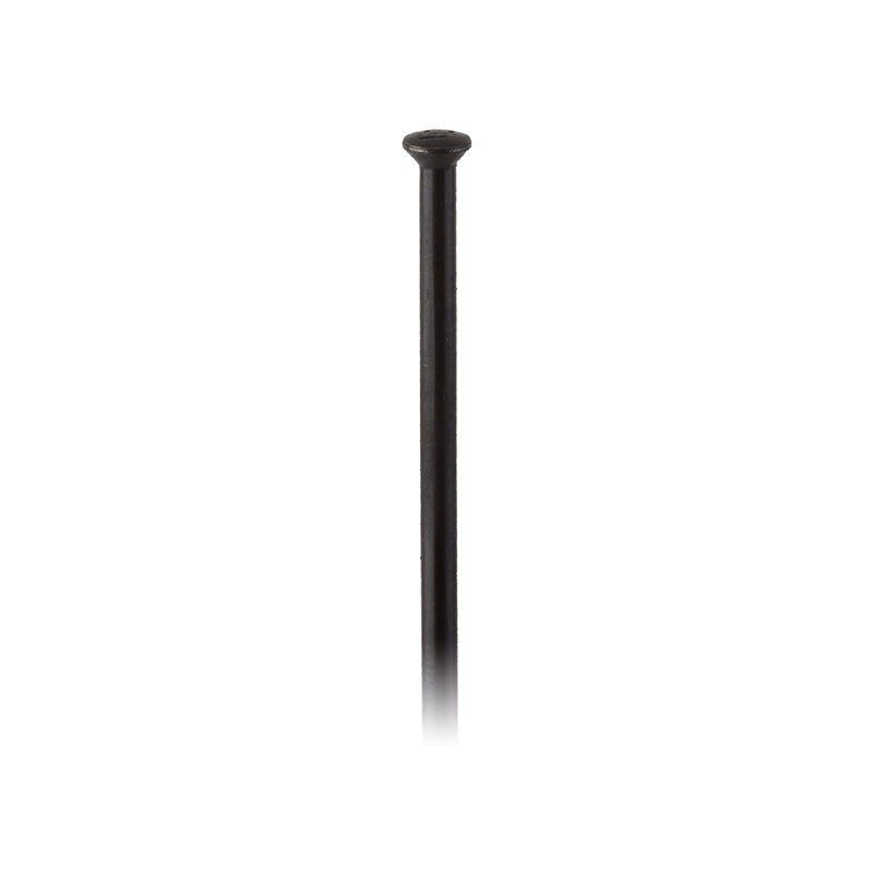 Dt swiss Champion Straight Pull Straight Pull 2.0 (14G) 292mm Box of 100 Black No-Goodwynn'sGoodwynn's