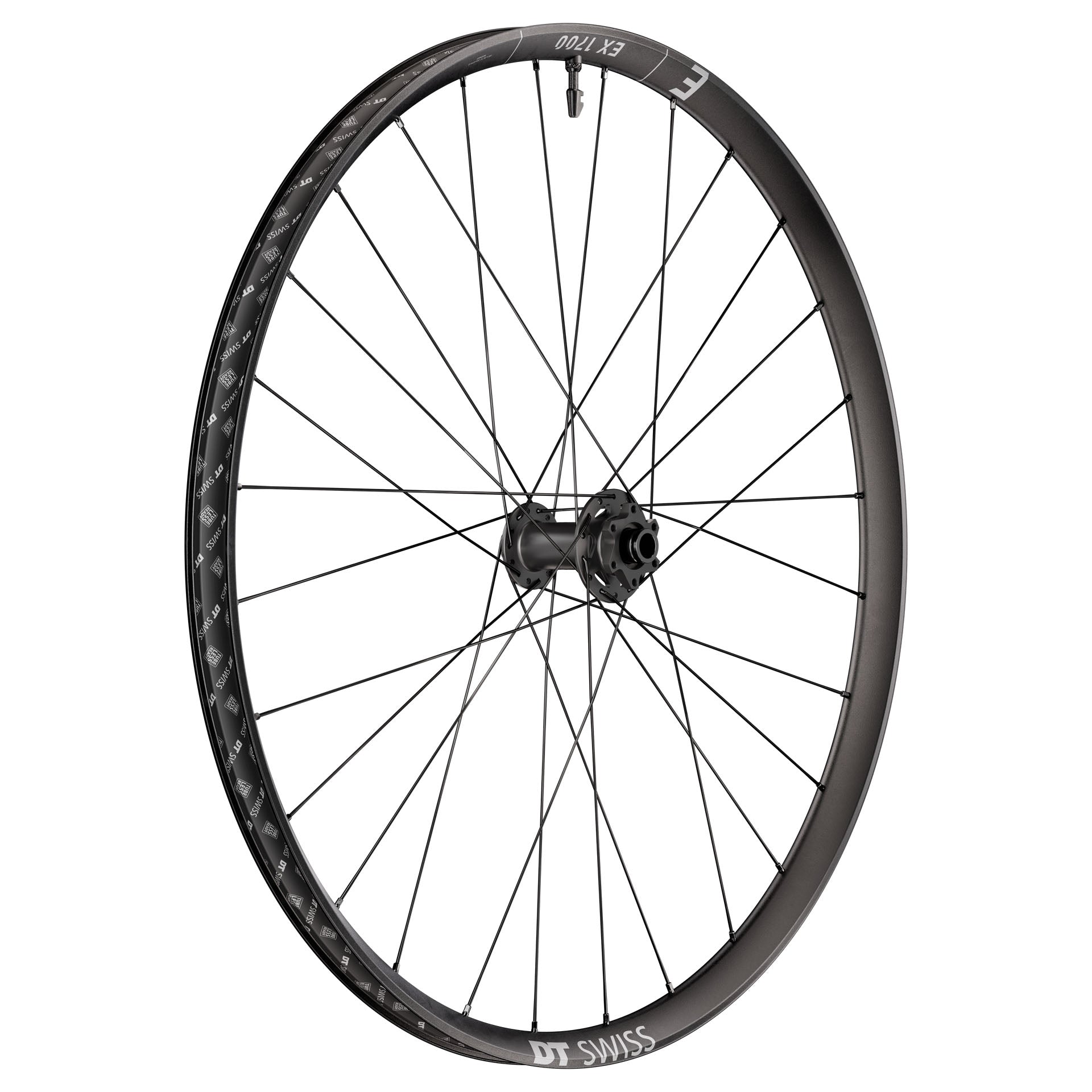 DT Swiss EX 1700 Classic Front Wheel 29" 15x110-Goodwynn'sGoodwynn's