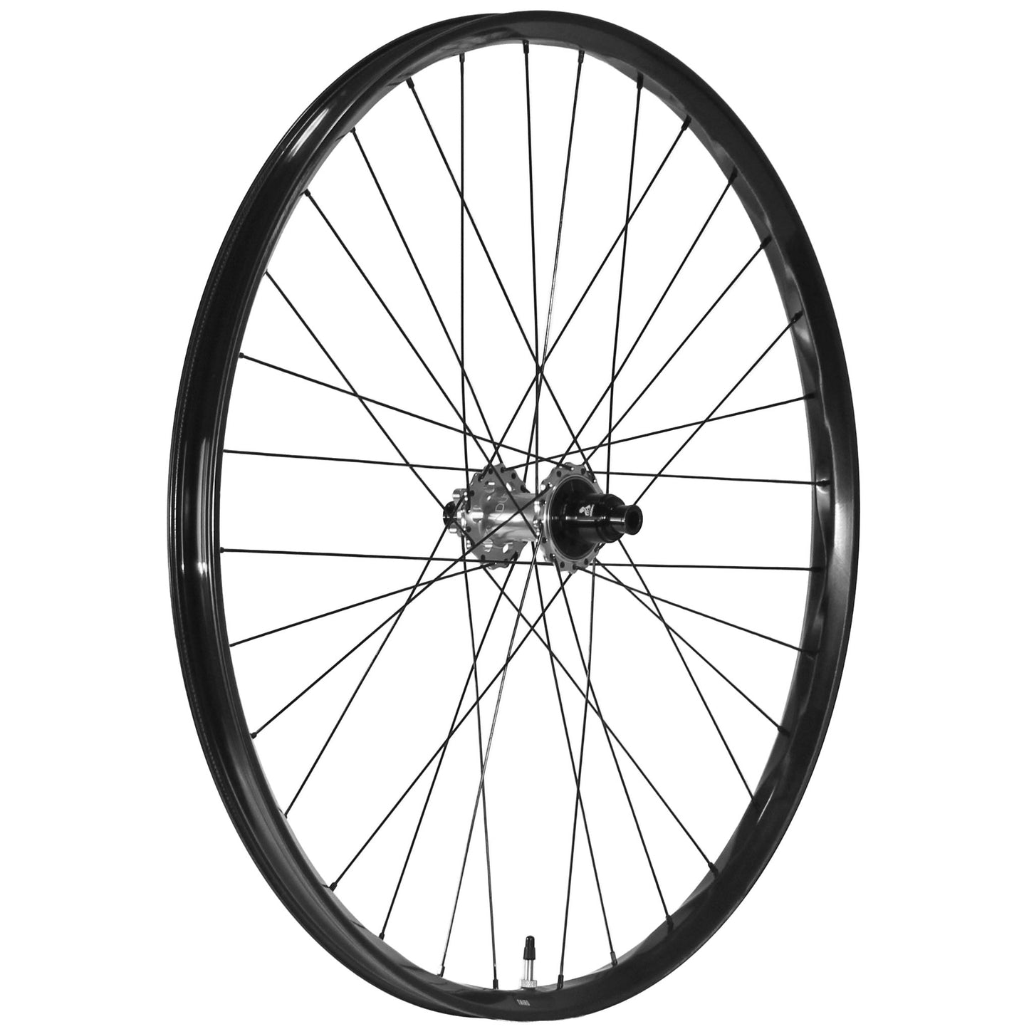 We Are One Triad 29" Rear Wheel 12x157 XD Silver/Black
