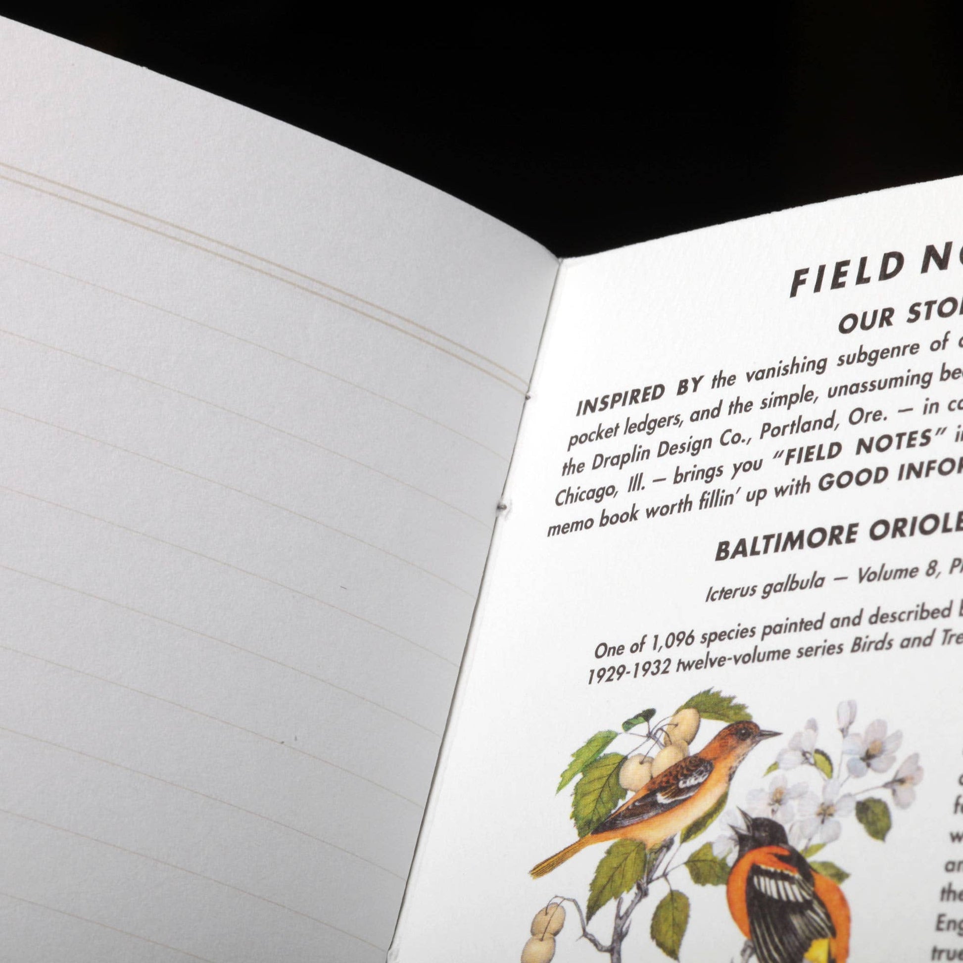 Field Notes - Birds and Trees of North America-Goodwynn'sGoodwynn's