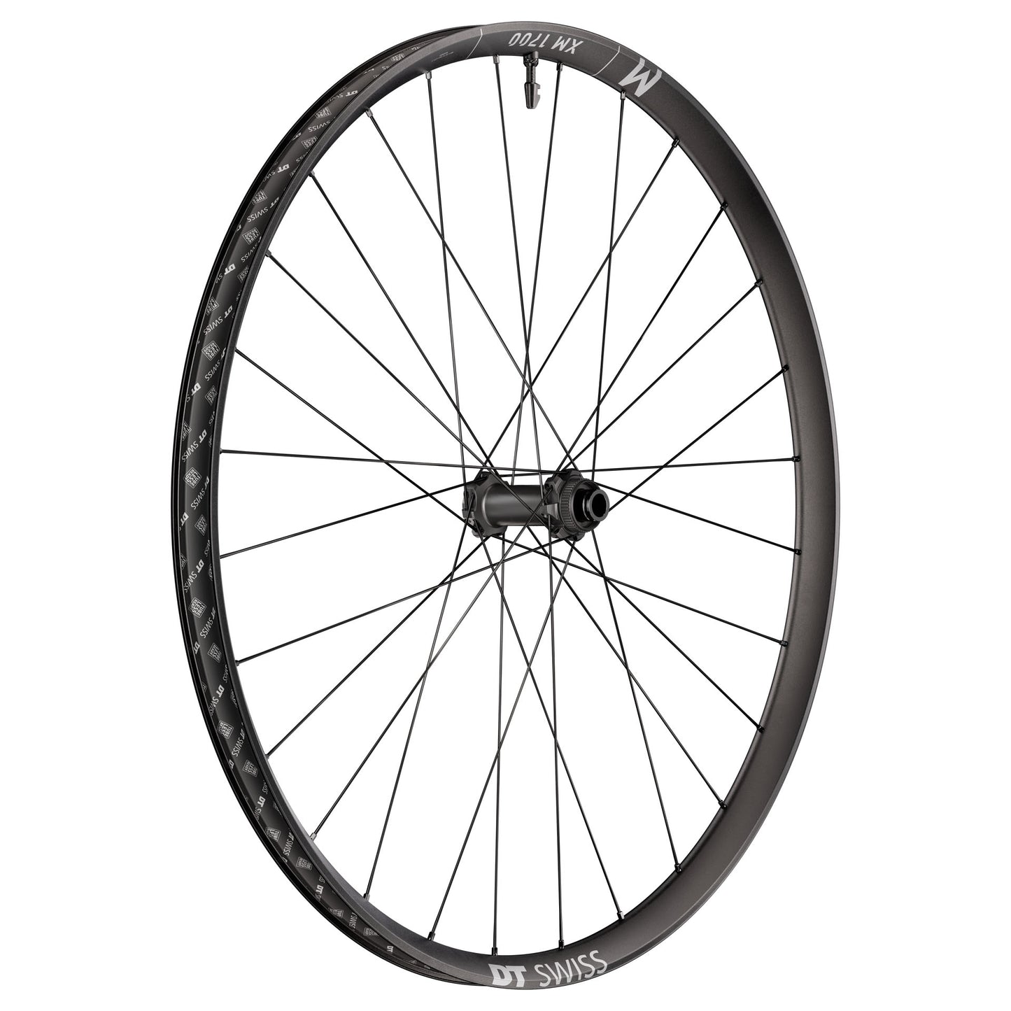 DT Swiss XM 1700 Spline Front Wheel 29" 15x110
