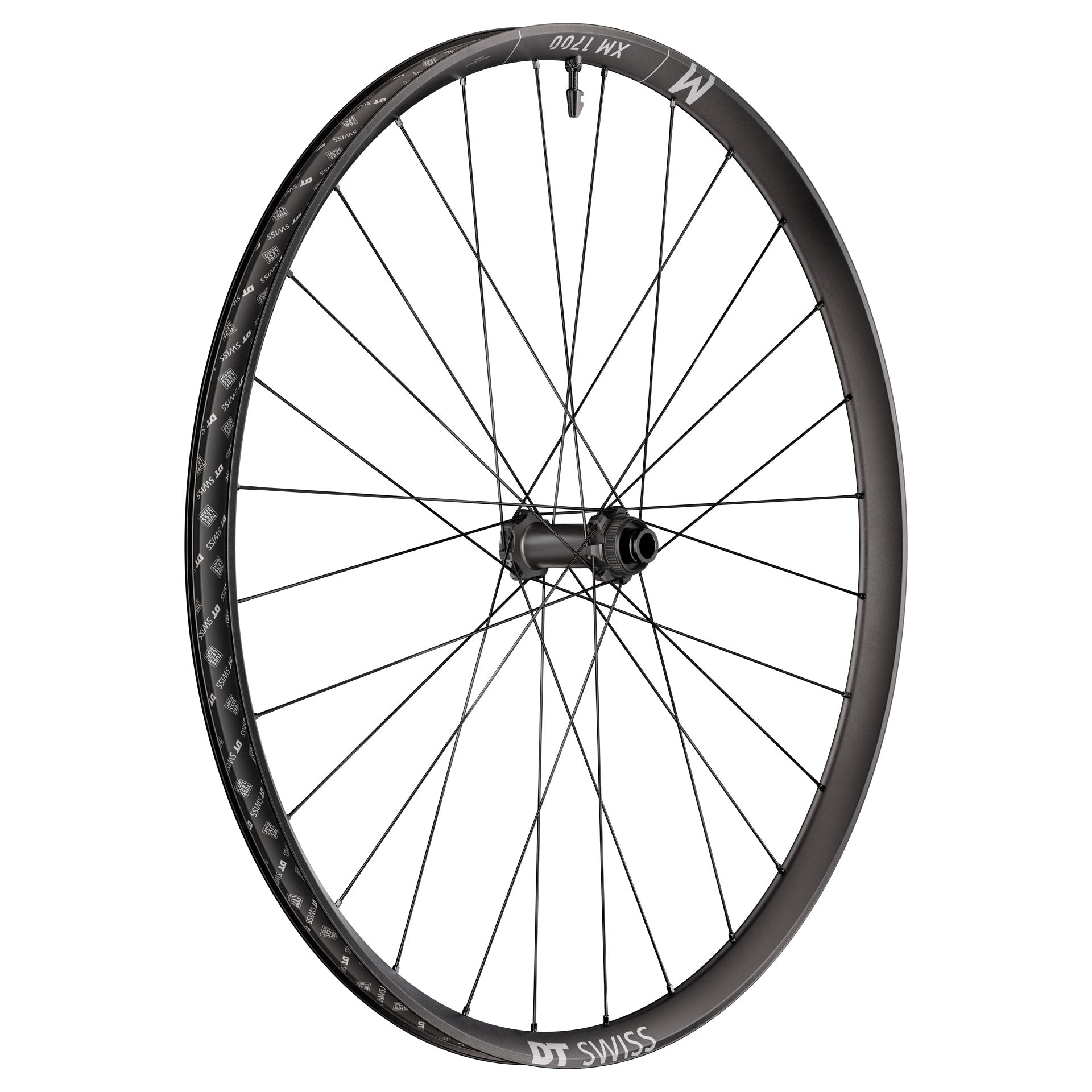 DT Swiss XM 1700 Spline Front Wheel 29" 15x110-Goodwynn'sGoodwynn's