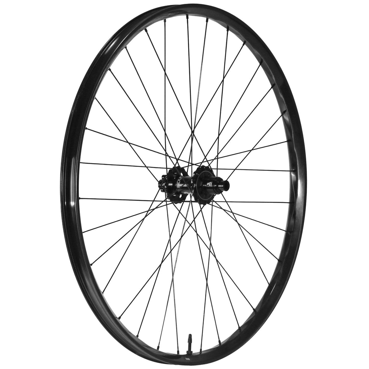 We Are One Triad 29" Rear Wheel 12x148 XD Black