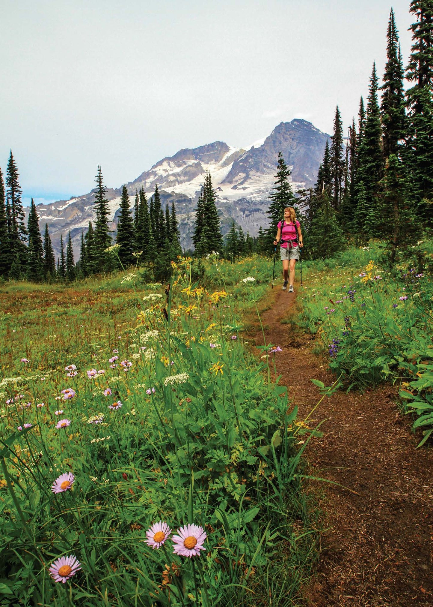 Mountaineers Books - Day Hiking: Mount Rainier, 2nd Edition