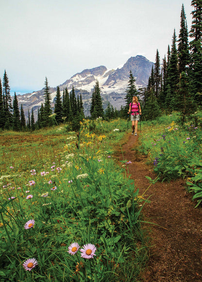 Mountaineers Books - Day Hiking: Mount Rainier, 2nd Edition