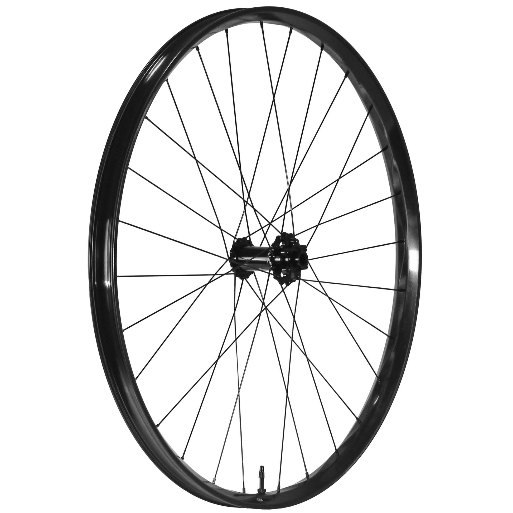 We Are One Fuse 29" Front Wheel 15x110 Black-Goodwynn'sGoodwynn's