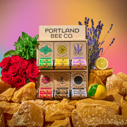 Portland Bee Balm - Wooden Beeswax Lip Balm Display – 144-Count Assortment
