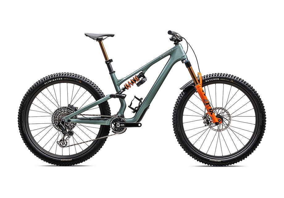 2025 Specialized Stumpjumper 15 S-Works LTD Bike-Goodwynn'sGoodwynn's
