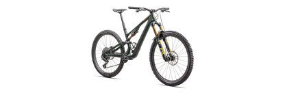 2025 Specialized Stumpjumper 15 Pro Bike