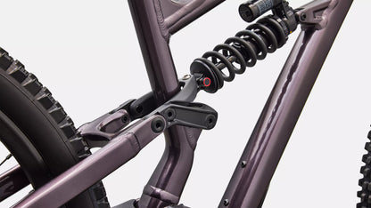 2026 Specialized Status 170 2 Dh