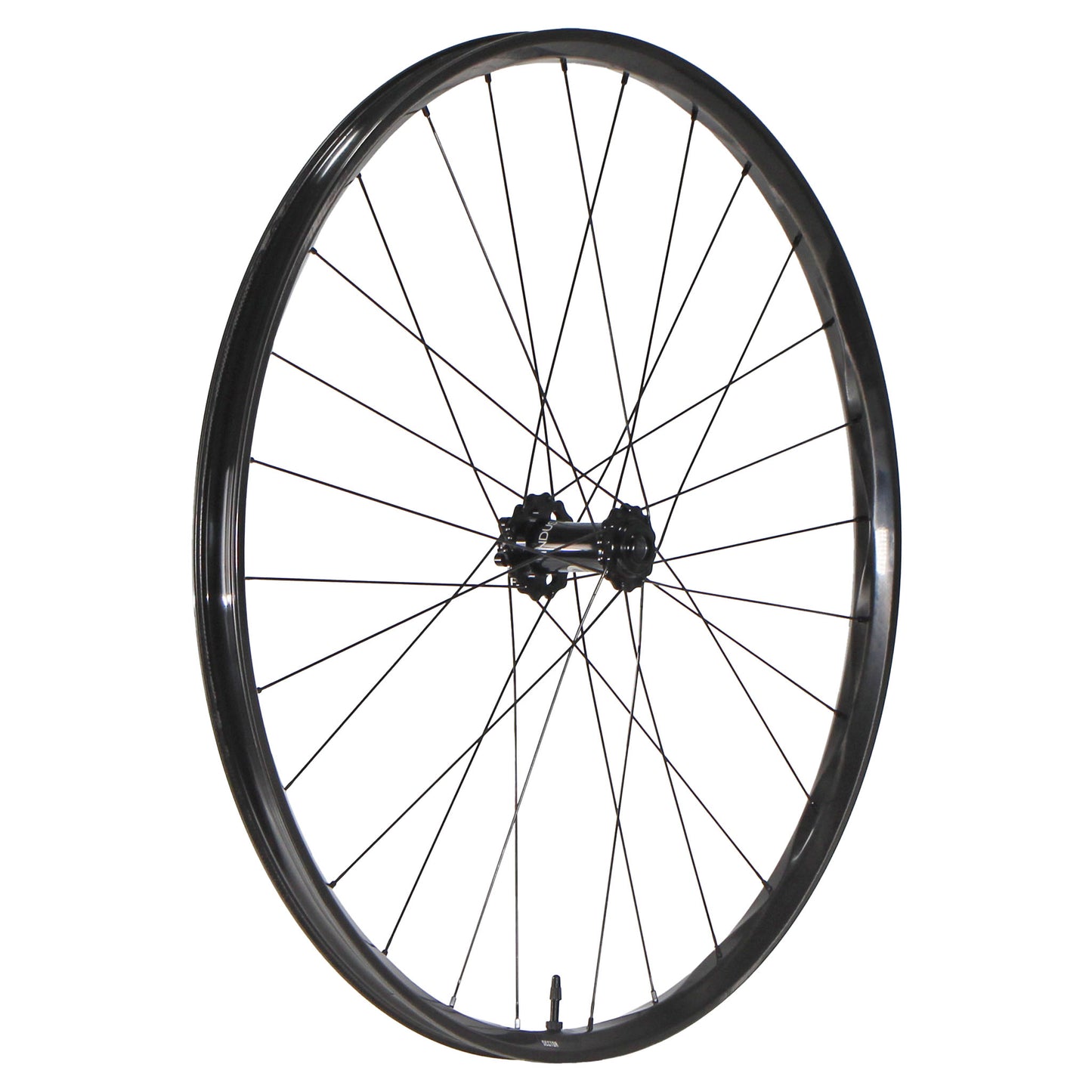 We Are One Sector 29" Front Wheel 15x110 Black