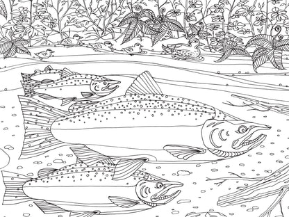 Mountaineers Books - Pacific Northwest Nature Coloring Book