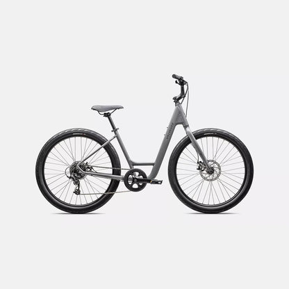 2025 Specialized Roll 2.0 Low Entry Bike