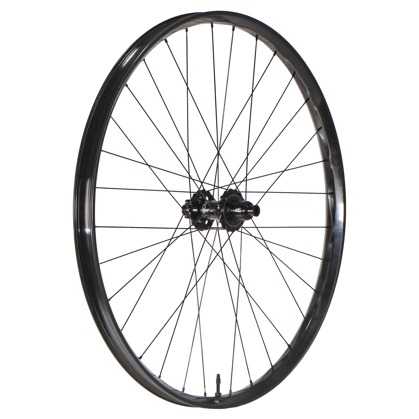 We Are One Fuse 29" Rear Wheel 12x148 XD Black