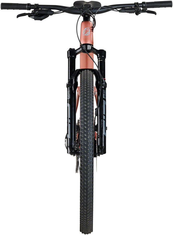 Salsa Spearfish C Eagle 90 Transmission Bike - 29" Carbon Dusty Rose Small-Goodwynn'sGoodwynn's