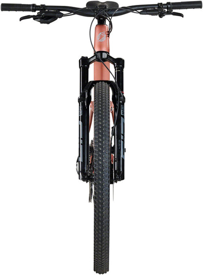 Salsa Spearfish C Eagle 90 Transmission Bike - 29" Carbon Dusty Rose Small