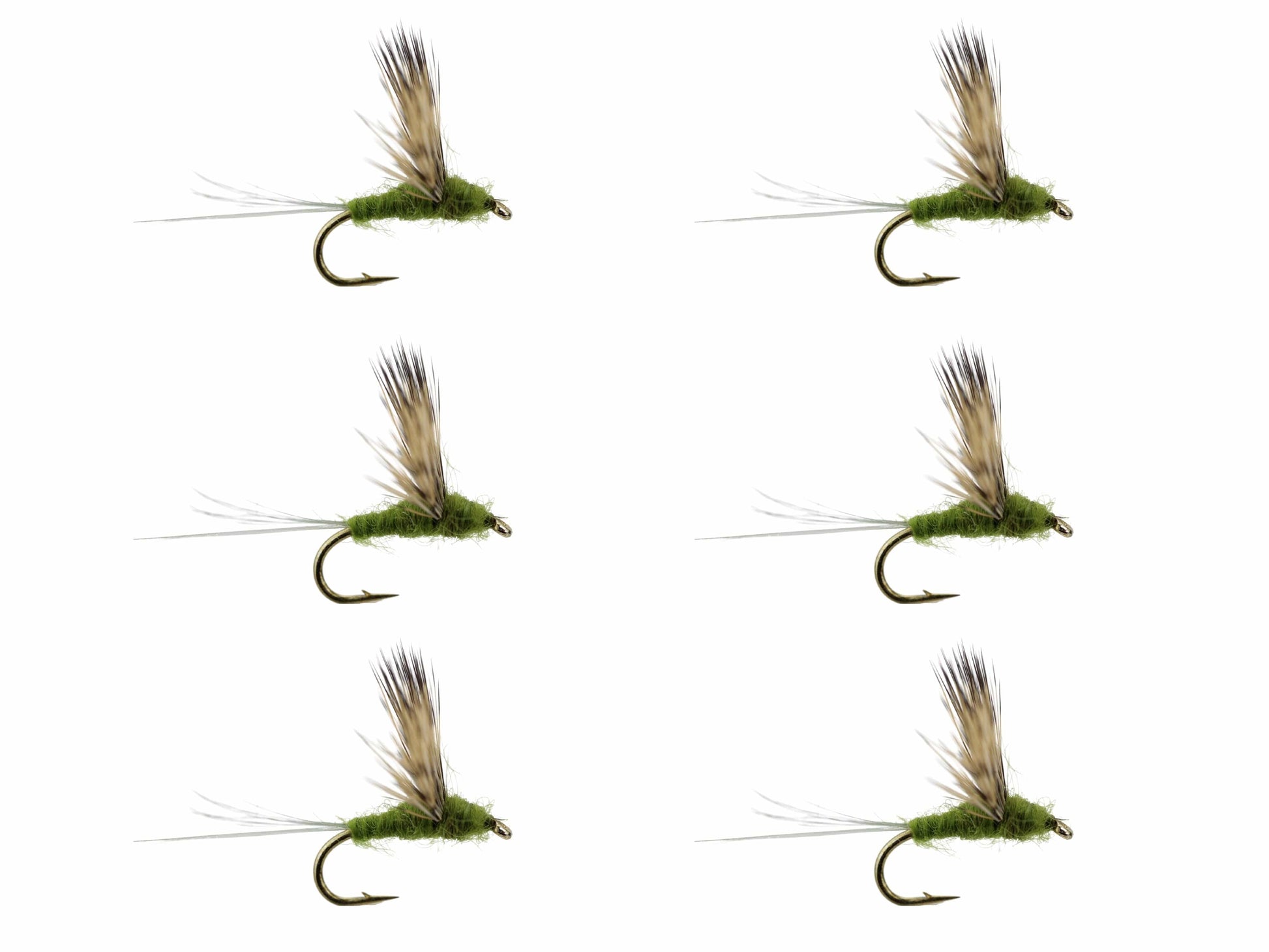 Wild Water Fly Fishing Baetis Comparadun, Size 16, Qty. 6-Goodwynn'sGoodwynn's