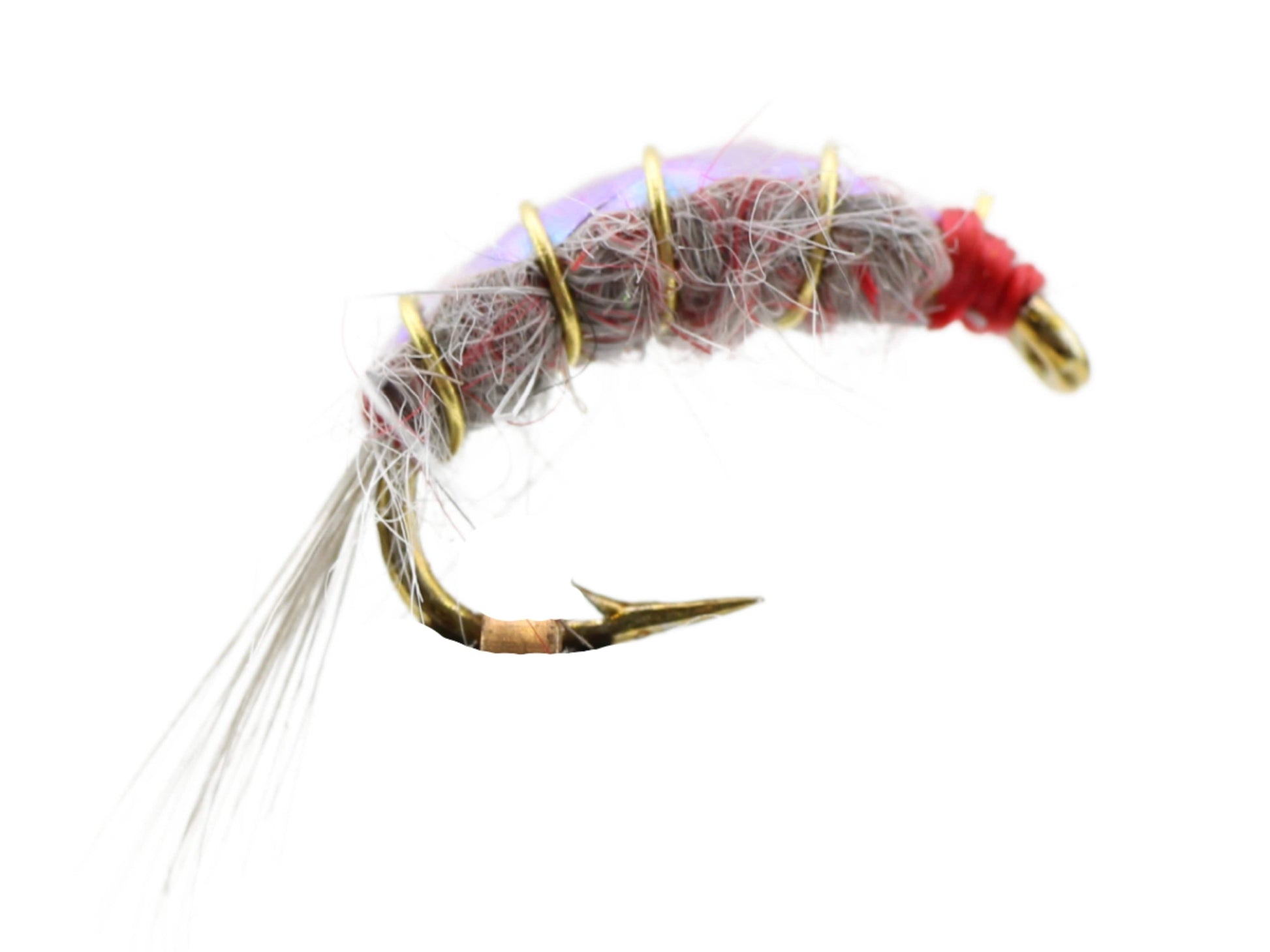 Wild Water Fly Fishing Gooey Big Horn Scud, Size 16, Qty. 6-Goodwynn'sGoodwynn's