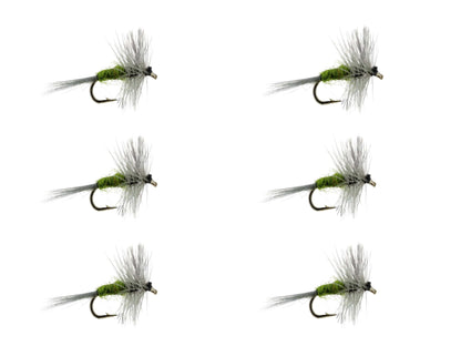 Wild Water Fly Fishing Blue Winged Olive, Size 16, Qty. 6