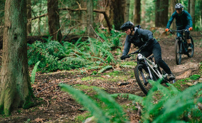 2025 Transition Regulator CX