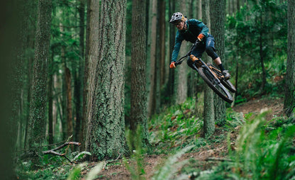 2025 Transition Regulator SX