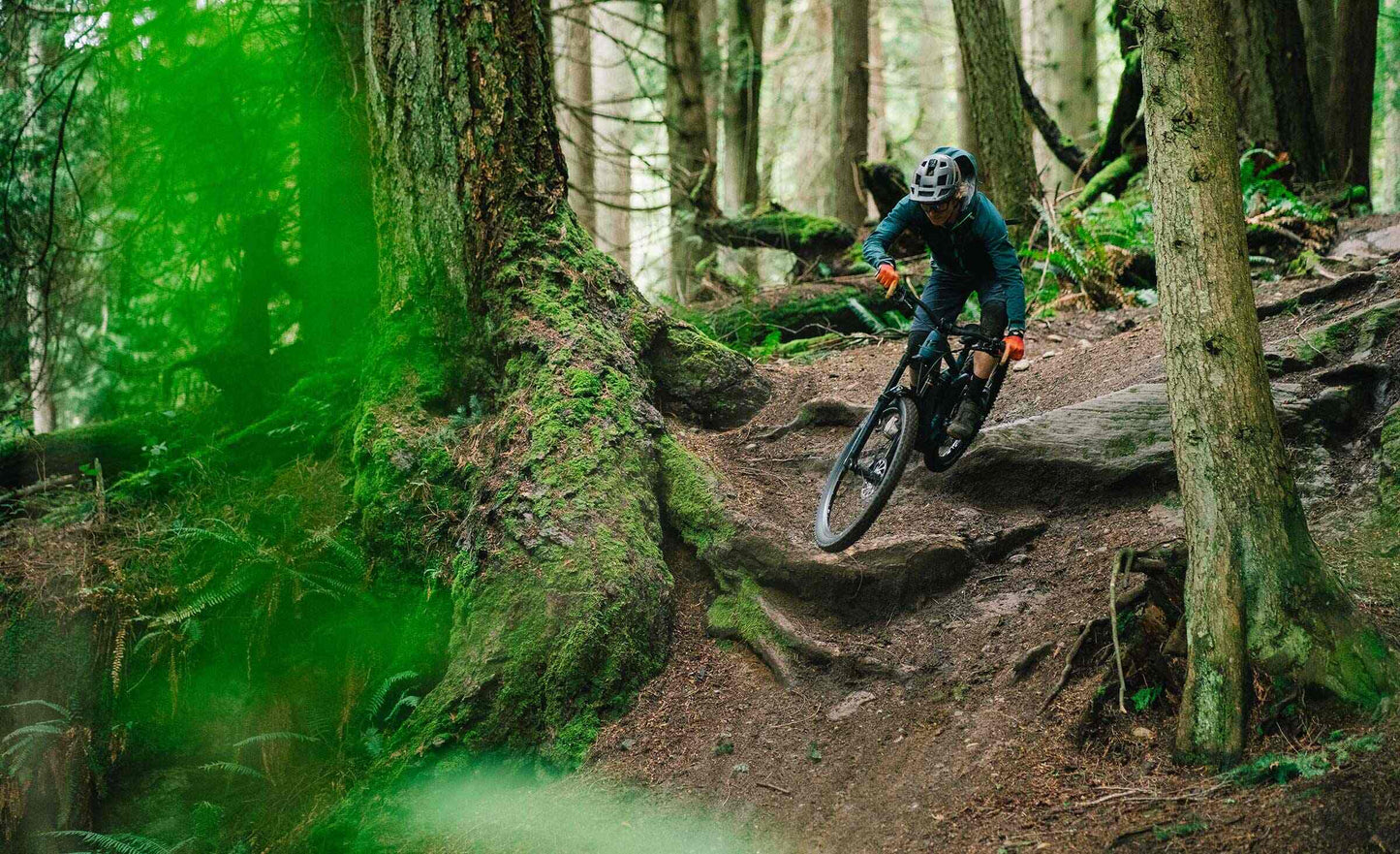 2025 Transition Regulator CX