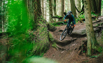 2025 Transition Regulator CX