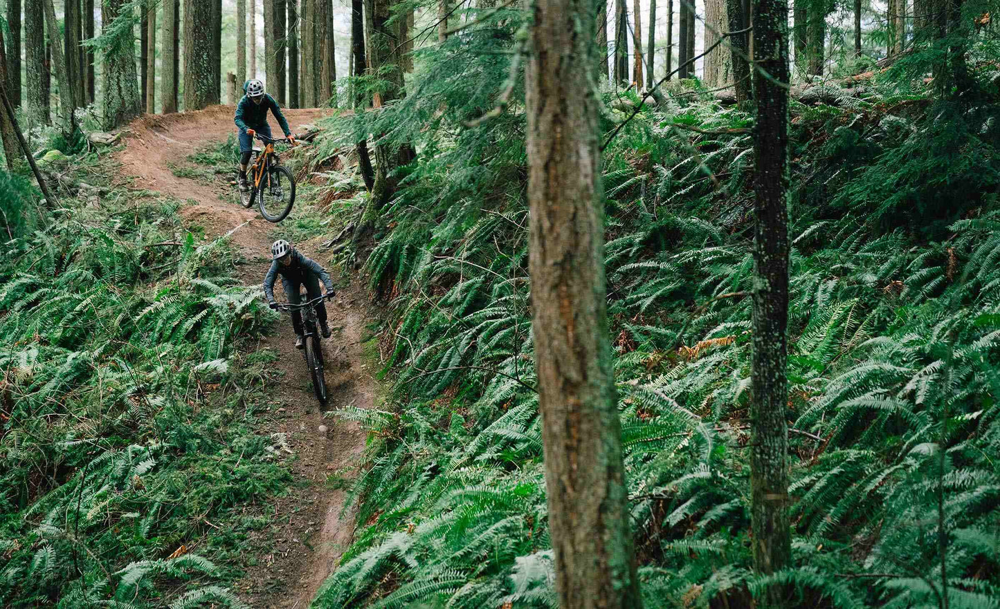 2025 Transition Regulator SX