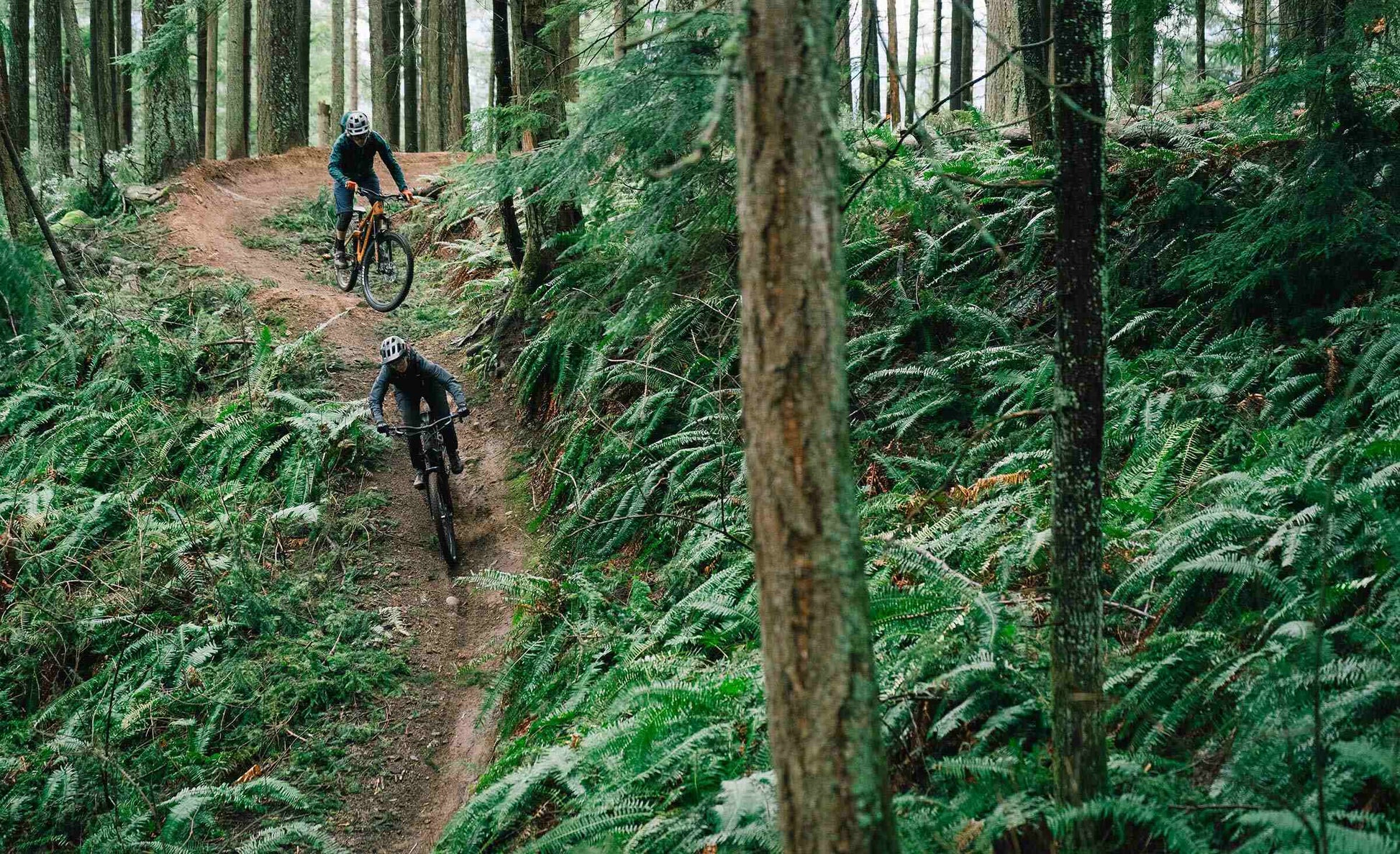 2025 Transition Regulator SX-Goodwynn&#39;sGoodwynn&#39;s