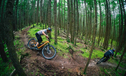 2025 Transition Regulator SX