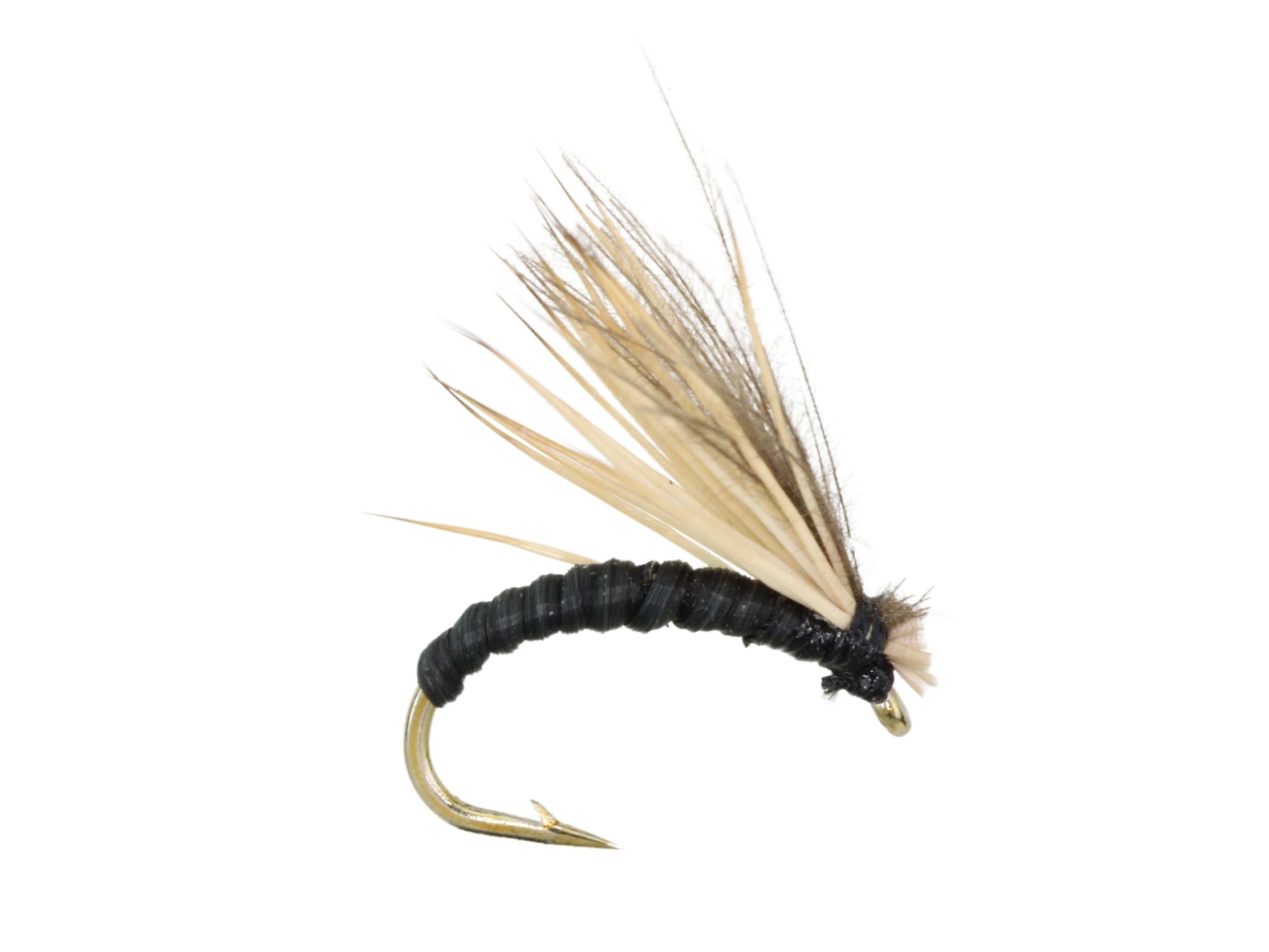Wild Water Fly Fishing Black Elkwing Caddis, Size 16, Qty. 6-Goodwynn'sGoodwynn's