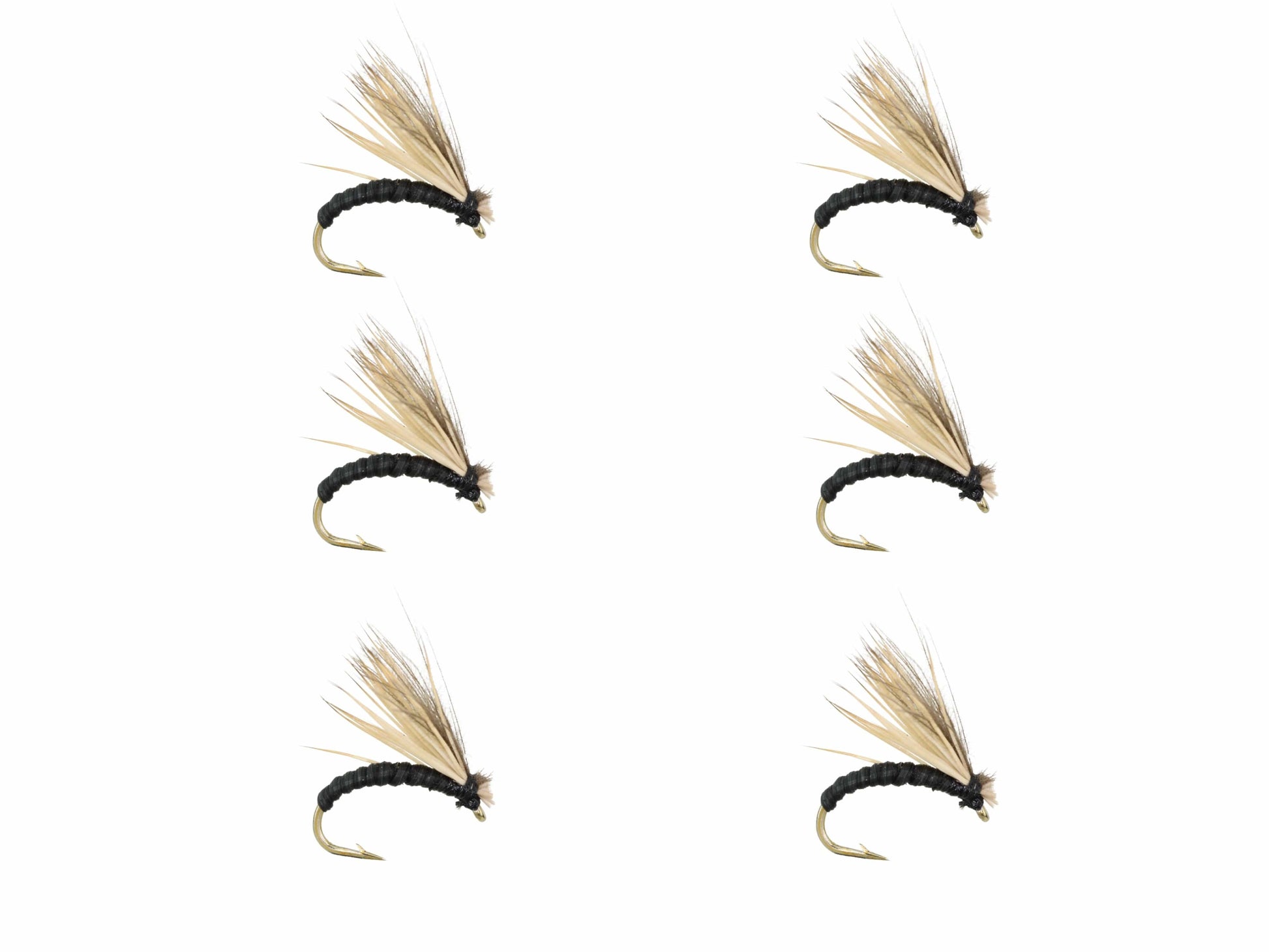 Wild Water Fly Fishing Black Elkwing Caddis, Size 16, Qty. 6-Goodwynn'sGoodwynn's